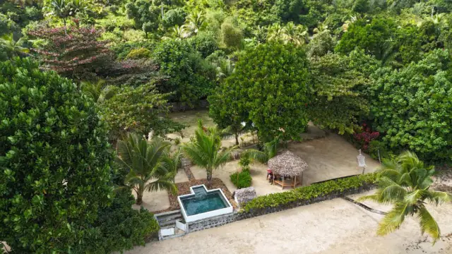 Vue aérienne du jardin tropical, de la piscine et de la paillote, entourés d'une végétation dense.