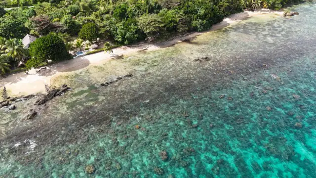 Vue aérienne du récif : eaux turquoise translucides, patates de corail et la bande de sable qui longe la propriété.