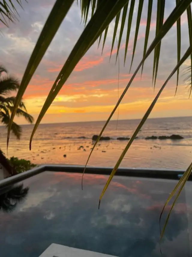 Coucher de soleil vu depuis la piscine, à travers les palmes d'un cocotier, le ciel rose et l'océan calme.